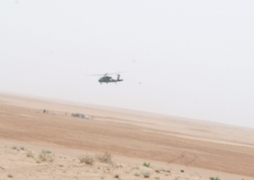 Hand Selected by Task Force Spartan Commander for Exceptional Service, Reserve MP Company Ends Mission in Iraq With Full-scale Air Assault