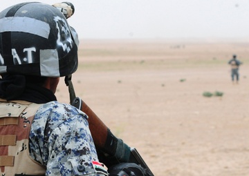 Hand Selected by Task Force Spartan Commander for Exceptional Service, Reserve MP Company Ends Mission in Iraq With Full-scale Air Assault