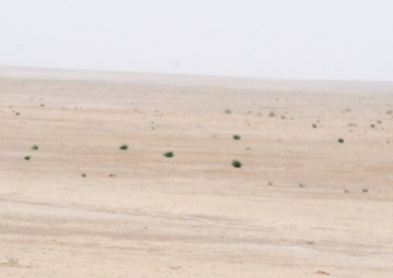 Hand Selected by Task Force Spartan Commander for Exceptional Service, Reserve MP Company Ends Mission in Iraq With Full-scale Air Assault