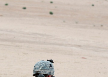 Hand Selected by Task Force Spartan Commander for Exceptional Service, Reserve MP Company Ends Mission in Iraq With Full-scale Air Assault