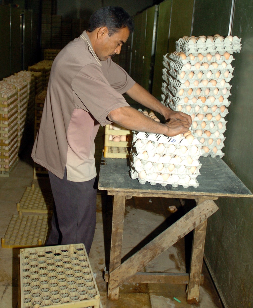 Mahmudiyah Hatchery Receives First Egg Shipment