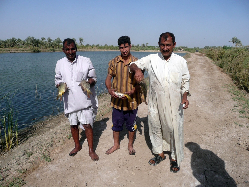Fish Farms Make a Comeback in Babil