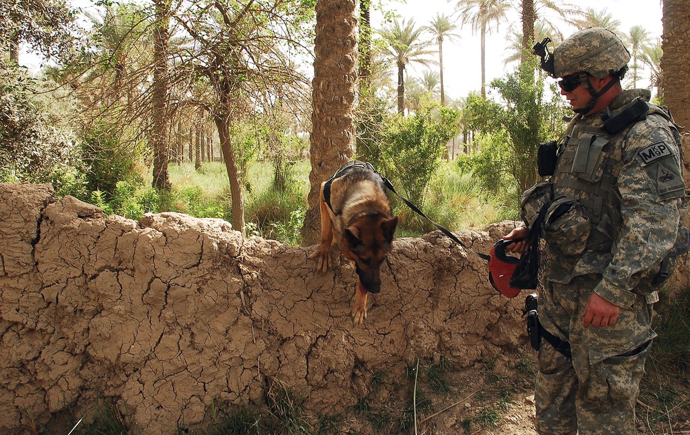 Operation Arrow Cleanup Keeps Hib Hib Clear of Weapon Caches.