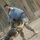Military Working Dogs