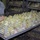 The image shows a commercial hatchery or poultry facility with large numbers of newly hatched chicks densely packed into wire mesh trays. A worker's hands are visible handling one of the trays. Multiple stacked trays filled with chicks are visible in the background.
