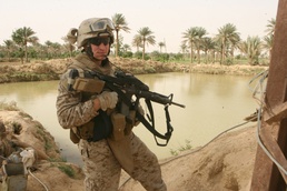 Hit CAG guides government