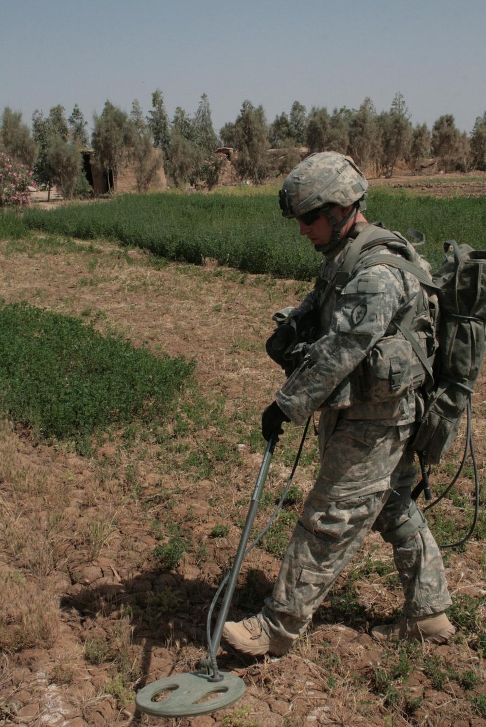 Wolfhounds search for caches despite heat