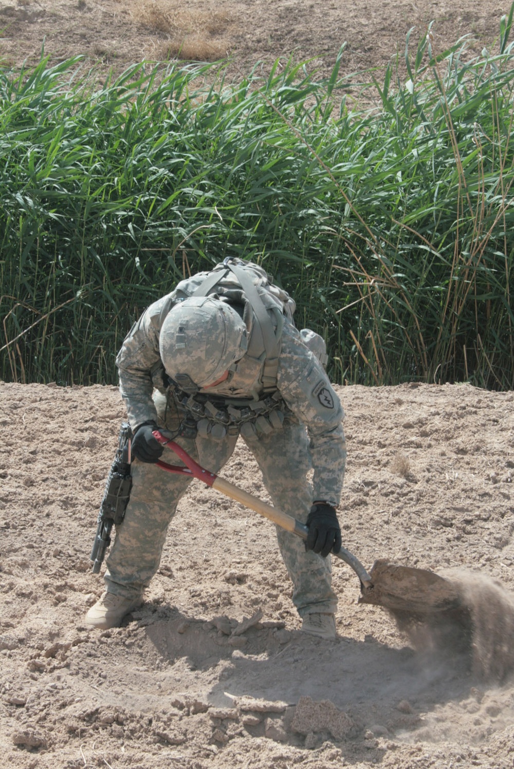Wolfhounds search for caches despite heat