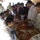 A crowded registration or processing event taking place under a tent, where civilians are seated at a long table filling out paperwork. Military personnel in combat gear are visible in the background, suggesting this is a military-administered civil affairs operation, possibly a voter registration, aid distribution, or identification processing event. The setting appears to be in a Middle Eastern or Central Asian context based on attire and environment.
