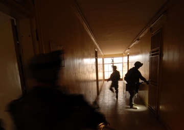 Dog Company conducts clearing operation