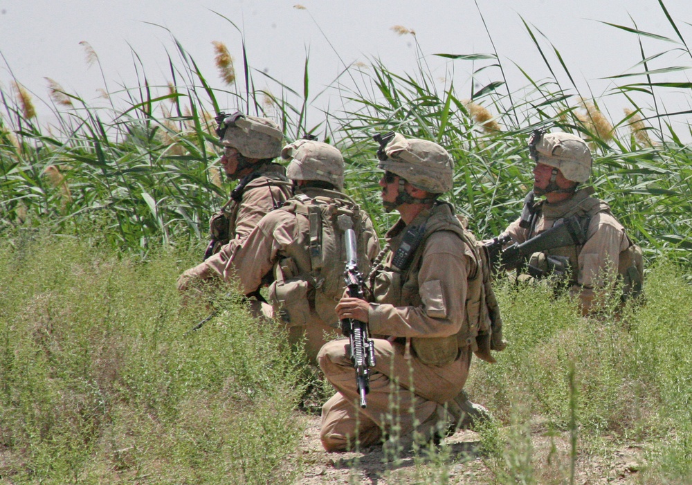 Marines in Helmand