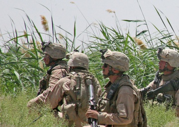 Marines in Helmand