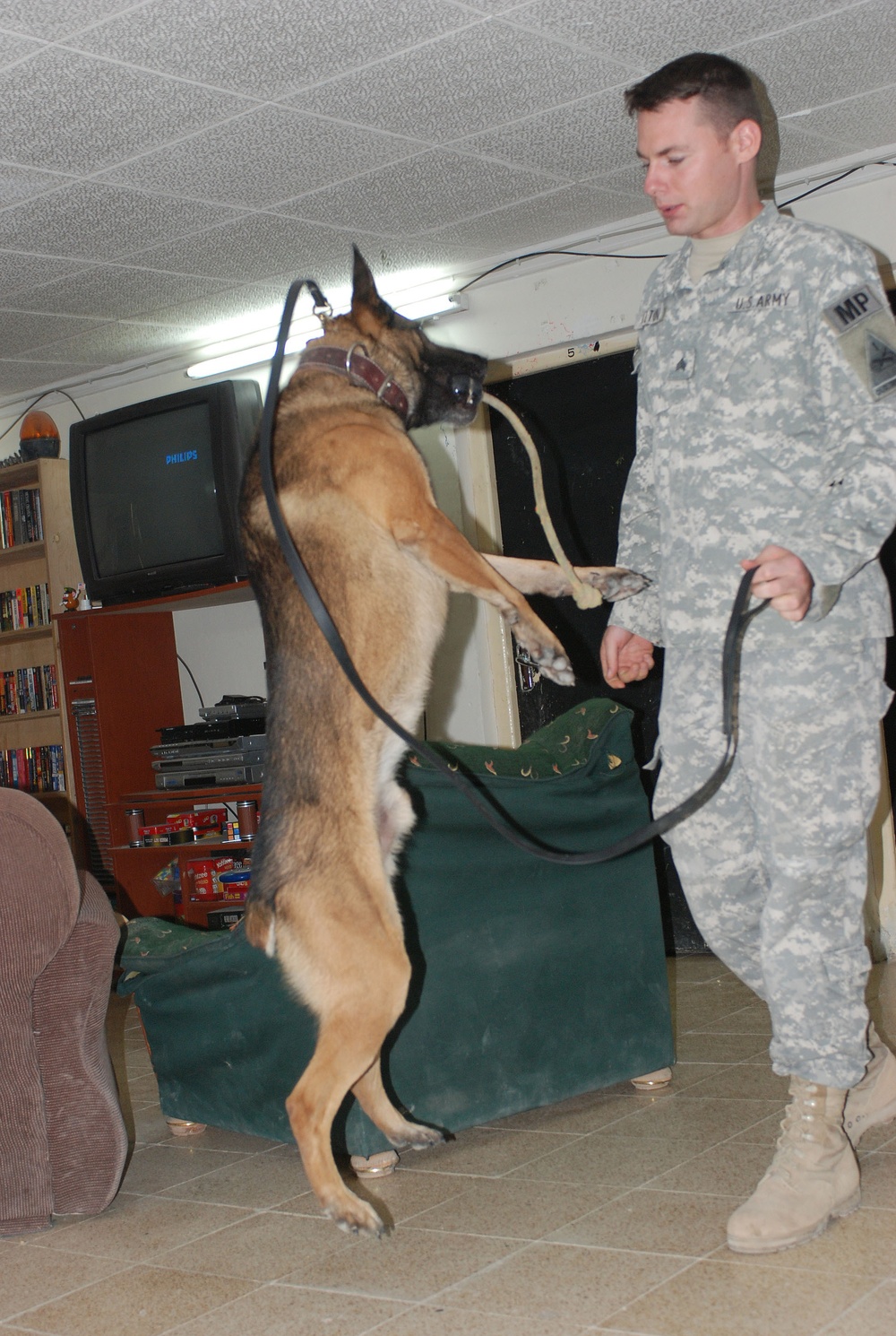 Canine Care Packages