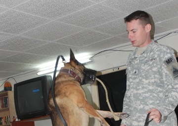 Canine Care Packages