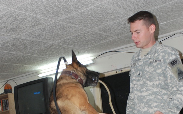 Canine Care Packages