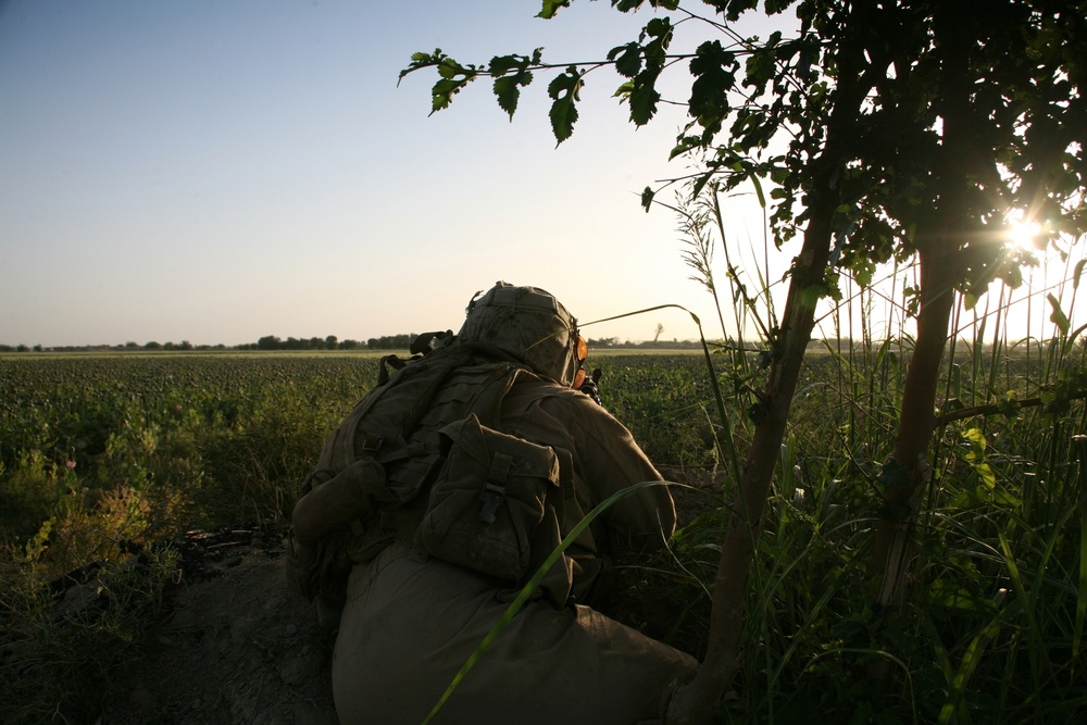 Operations in Garmsir District