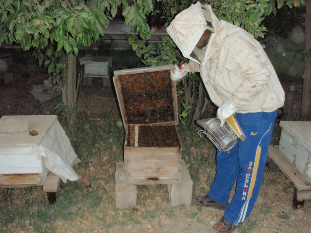 Gimlets lend helping hand to residents of Aqur Quf