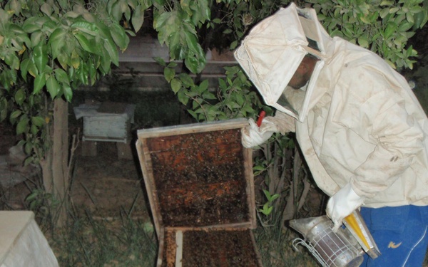 Gimlets lend helping hand to residents of Aqur Quf