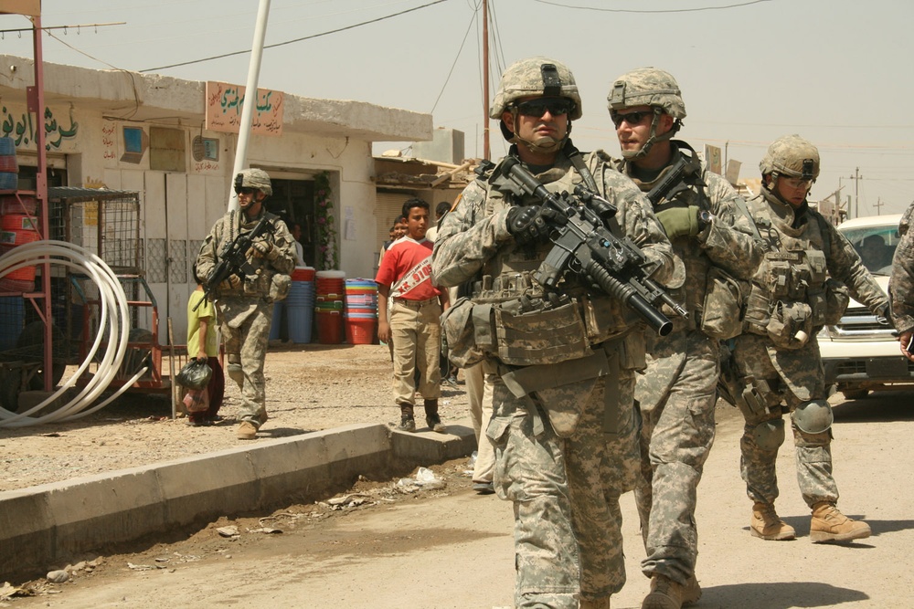 Wolfhounds help improve economic stability