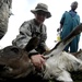 Civil Affairs helps animals in the Horn of Africa