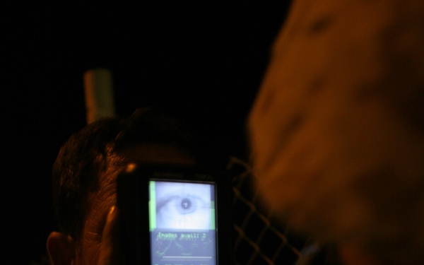 'Batting' a thousand