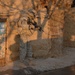 Operation Enduring Freedom/ Cold Mountain 2