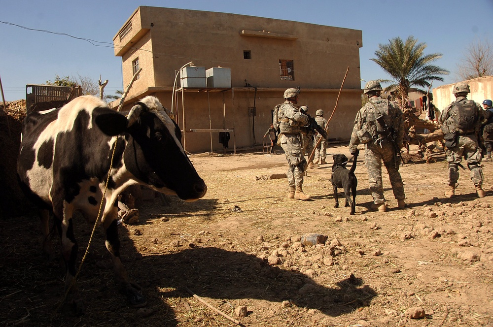 Presence Patrol in Dura'iya