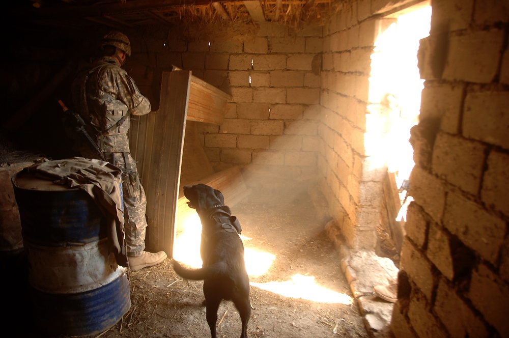 Presence Patrol in Dura'iya