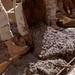 Construction Work at Camp Lemonier