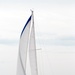 Sailors race sailboats off Norfolk