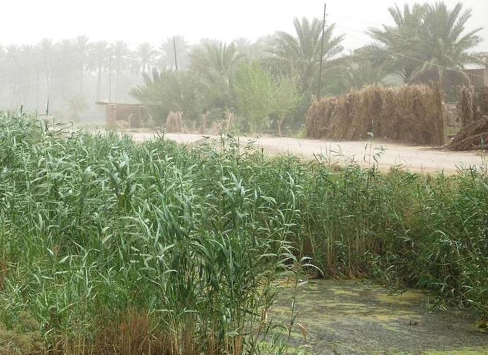 Iraqi government funds canal cleaning