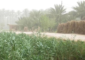 Iraqi government funds canal cleaning