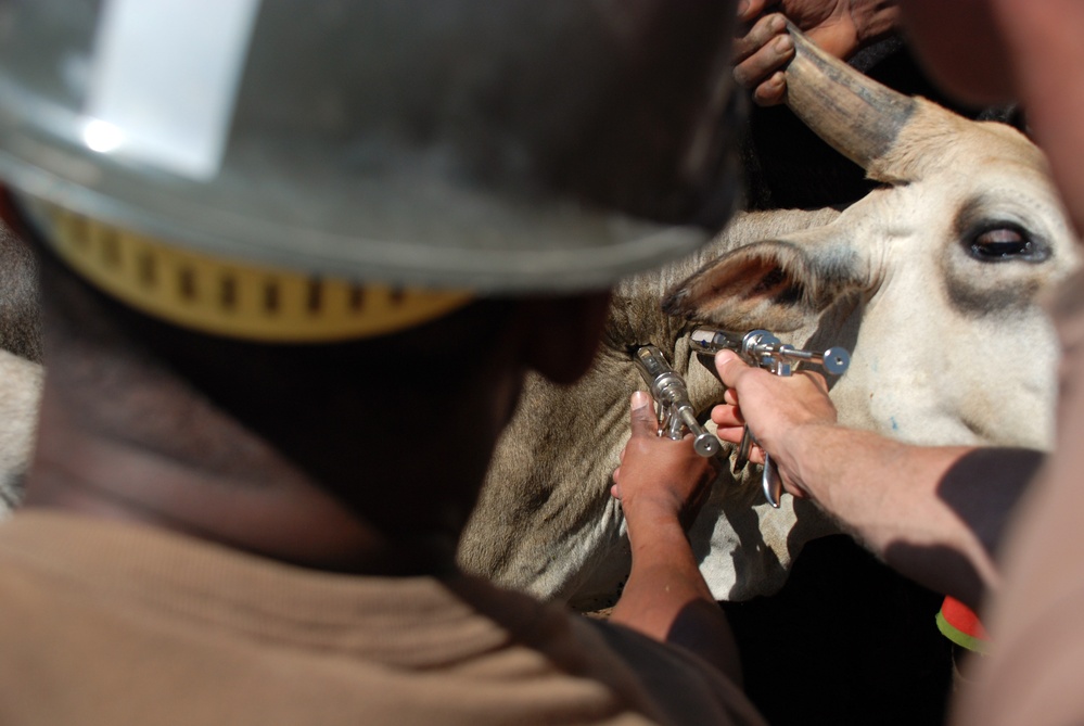 U.S. Army Civil Affairs veterinarian civil action outreach program