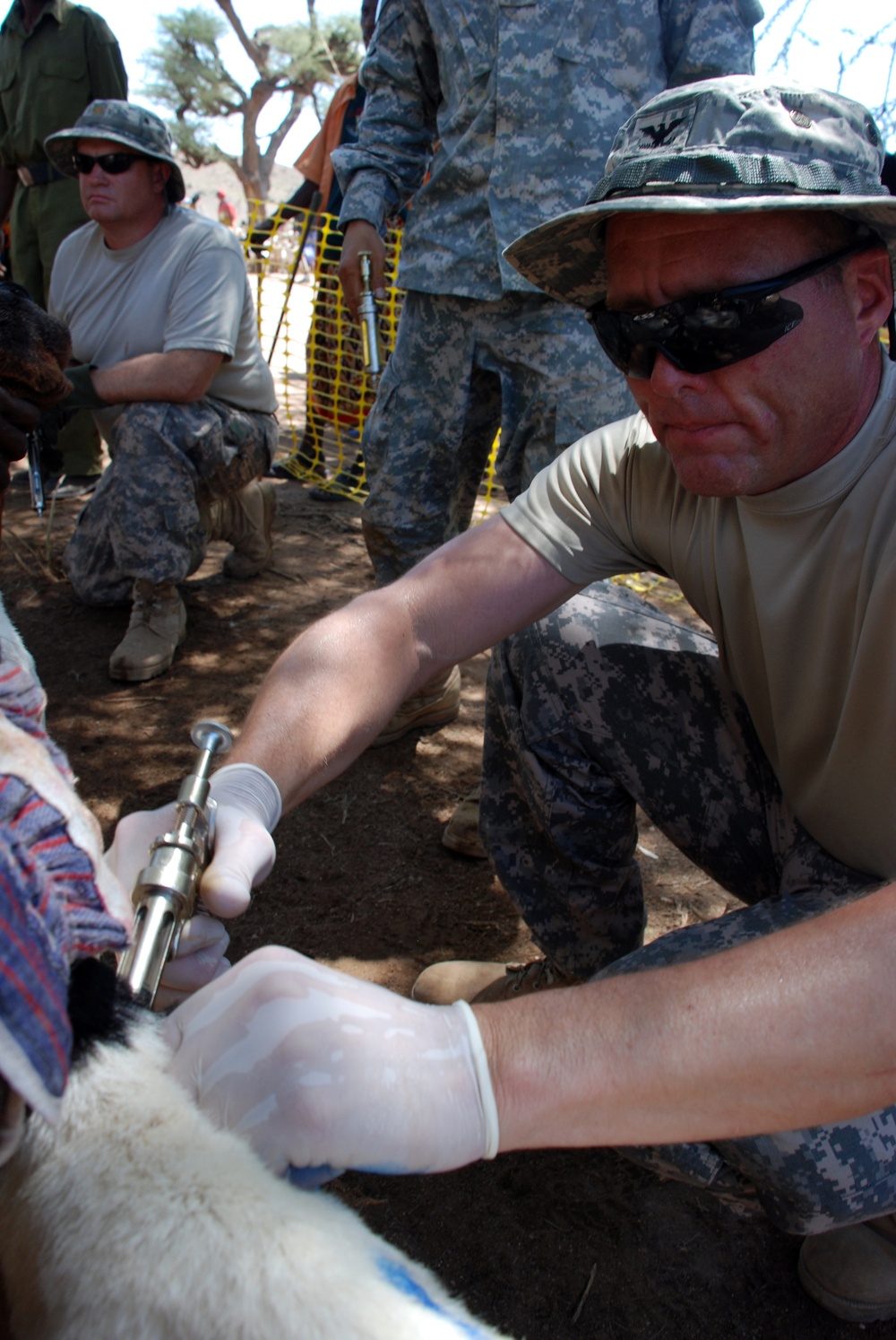 U.S. Army Civil Affairs veterinarian civil action outreach program