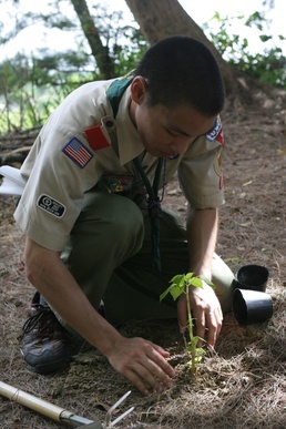 Eagle Scout plants tree
