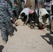 Progress in Al Anbar