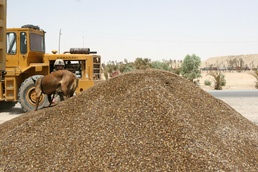 Marines participate in Operation Gravel Dump