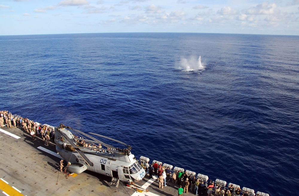 Sailors, Marines, and families participate in Tiger Cruise