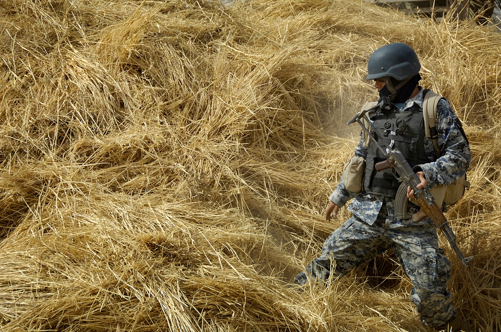 Iraqi National Police Perform Farmland Searches
