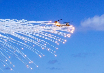 Tiger Cruise demonstration on USS Tarawa