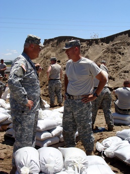 Sandbagging and Loving It!