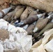 Strykehorse Soldiers Find Weapons Caches