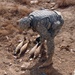 Strykehorse Soldiers find weapons caches