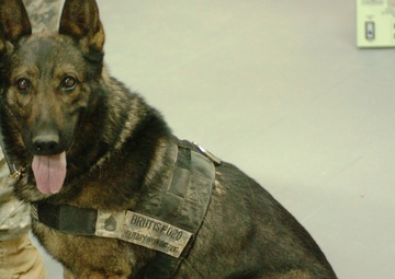 Not Your Average Reenlistment Ceremony