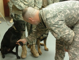 Not Your Average Reenlistment Ceremony