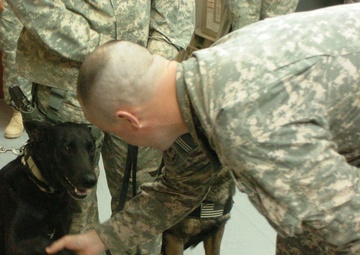 Not Your Average Reenlistment Ceremony