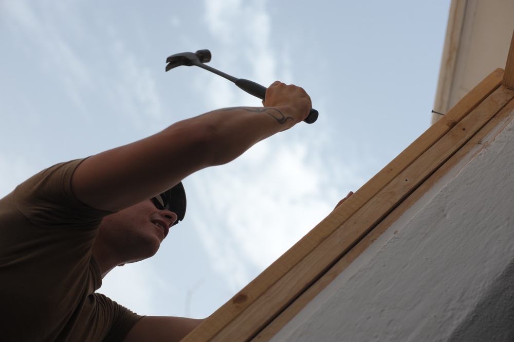 Civic Affairs Project