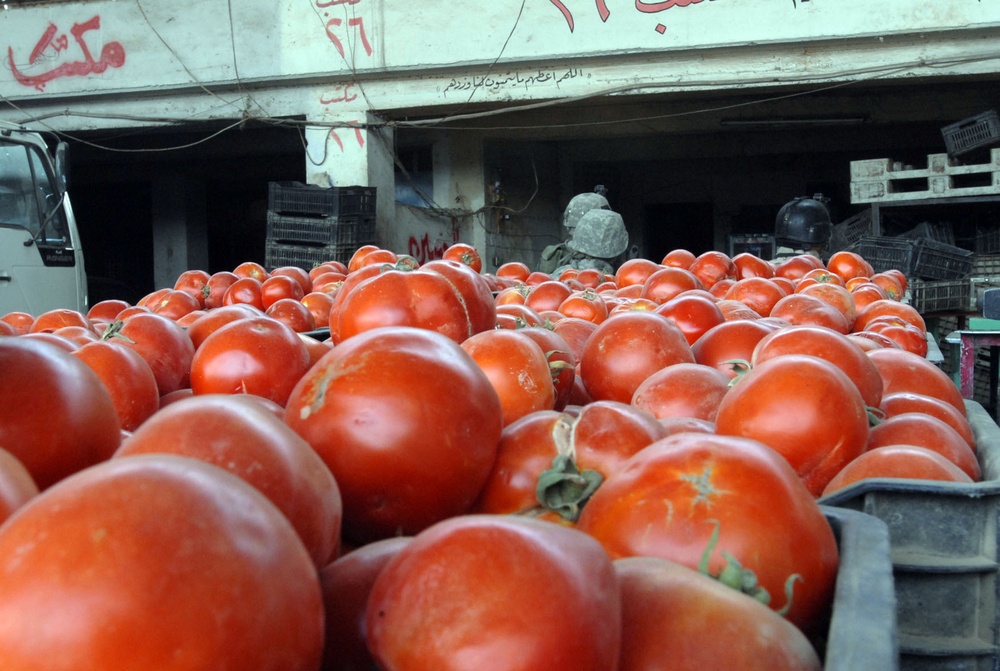 Important Jamilla wholesale market continues to grow as micro-grants, reconstruction projects impact area