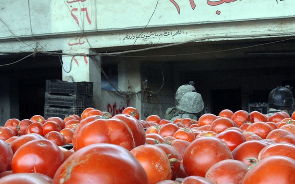 Important Jamilla wholesale market continues to grow as micro-grants, reconstruction projects impact area