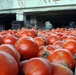 Important Jamilla wholesale market continues to grow as micro-grants, reconstruction projects impact area